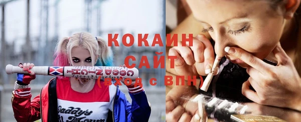 кокс Алексин