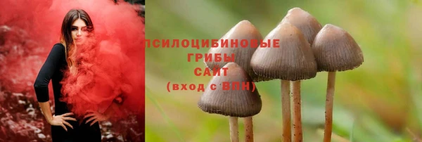 MESCALINE Алзамай