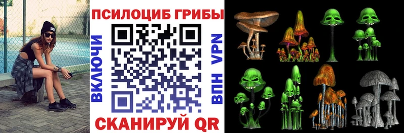 Галлюциногенные грибы Cubensis  сколько стоит  Нея 